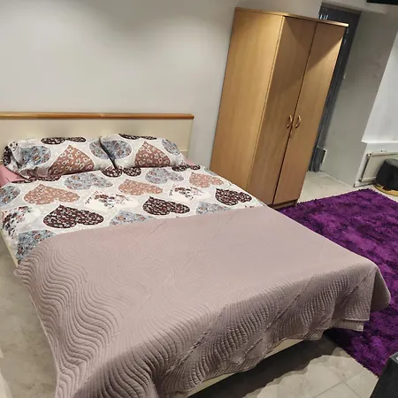 Urban Oasis - Big Stylish *