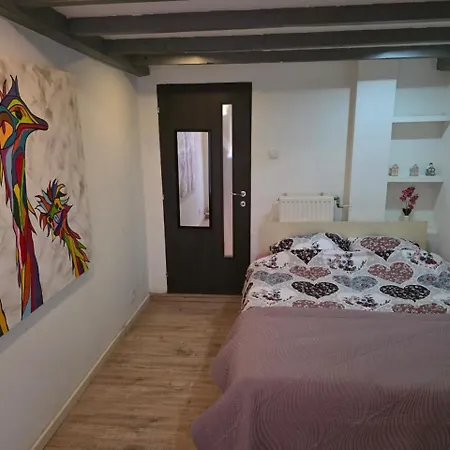 Urban Oasis - Big Stylish *