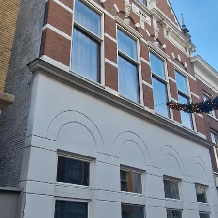 Urban Oasis - Big Stylish *