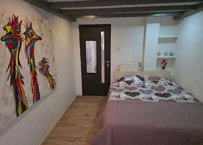 Urban Oasis - Big Stylish *