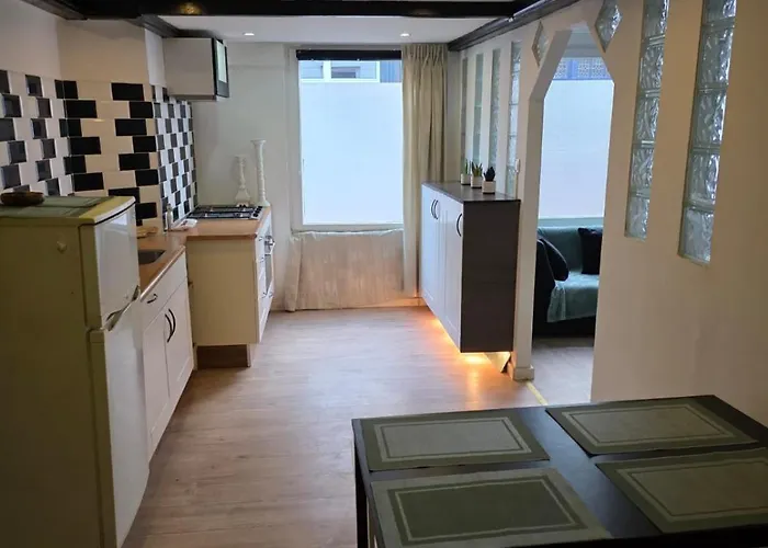 Urban Oasis - Big Stylish * Schiedam