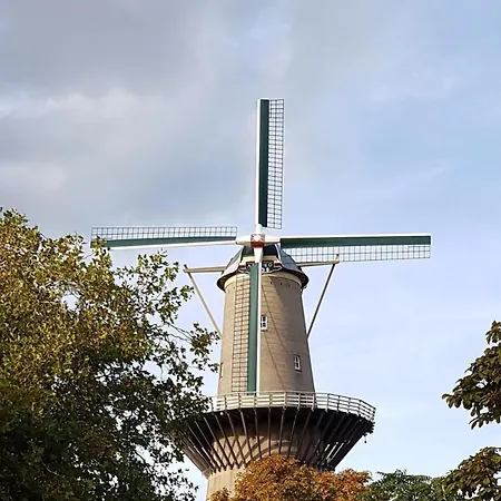 Urban Oasis - Big Stylish * Schiedam